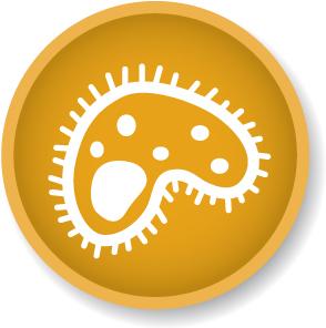 Standard_3_-_Healthcare_Associated_Infection_Icon_on_white_JPEG